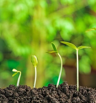 Proteger el medio ambiente con el reciclaje