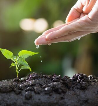 Cómo influye la geopolítica en la expansión de energías renovables