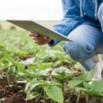 Simplifica la burocracia agraria y rentabiliza tus cultivos con datos precisos de un cuaderno digital de explotación